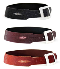 Radius Cut Ladies Belts