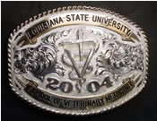 Veterinarian Belt Buckle