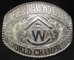 Rafter Diamond Brand Buckle