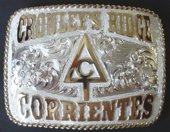 Rectangle Ranch Brand Buckle