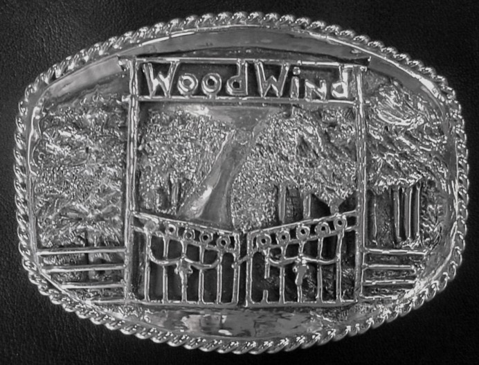 Scene Buckle for Woodwind Ranch